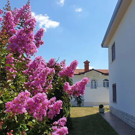 Apartment Bianca